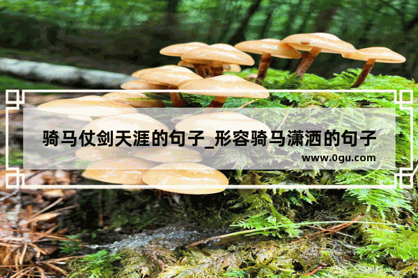骑马仗剑天涯的句子_形容骑马潇洒的句子