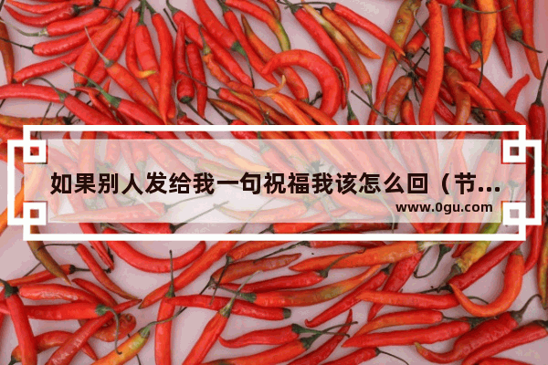 如果别人发给我一句祝福我该怎么回（节日的） 把祝福送给有感情的人句子