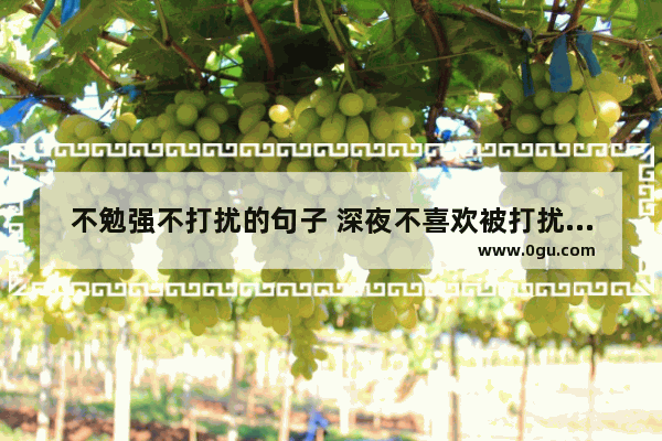 不勉强不打扰的句子 深夜不喜欢被打扰的句子