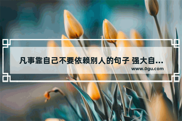 凡事靠自己不要依赖别人的句子 强大自己驾驭人生的句子