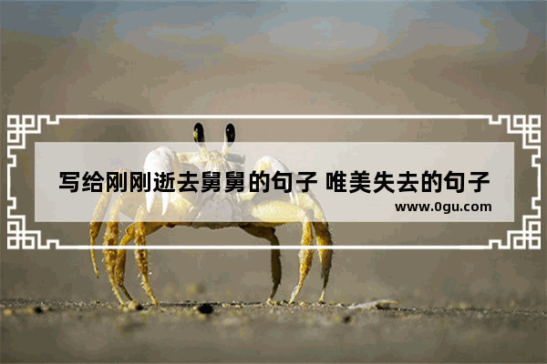 写给刚刚逝去舅舅的句子 唯美失去的句子
