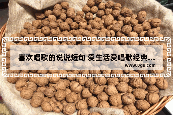 喜欢唱歌的说说短句 爱生活爱唱歌经典句子
