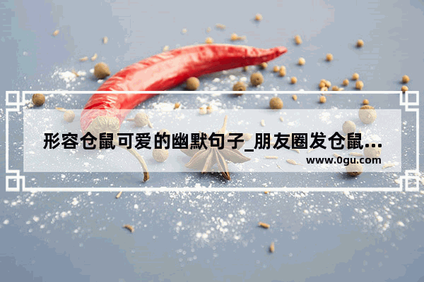 形容仓鼠可爱的幽默句子_朋友圈发仓鼠高质量句子