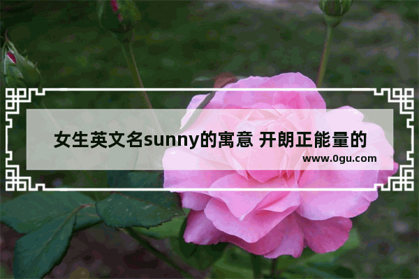 女生英文名sunny的寓意 开朗正能量的句子简短英文