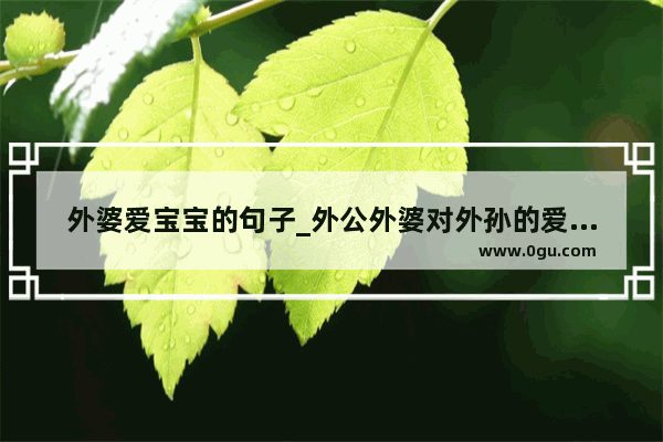 外婆爱宝宝的句子_外公外婆对外孙的爱文案