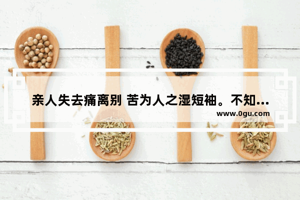 亲人失去痛离别 苦为人之湿短袖。不知何时再相见 天上人间月满花。是什么意思,伤感句子 有些东西失去了