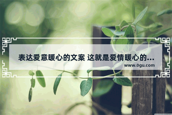 表达爱意暖心的文案 这就是爱情暖心的句子文案