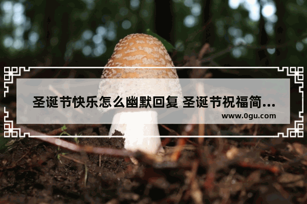 圣诞节快乐怎么幽默回复 圣诞节祝福简短幽默句子