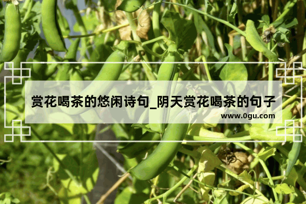 赏花喝茶的悠闲诗句_阴天赏花喝茶的句子