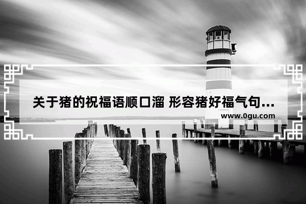 关于猪的祝福语顺口溜 形容猪好福气句子搞笑