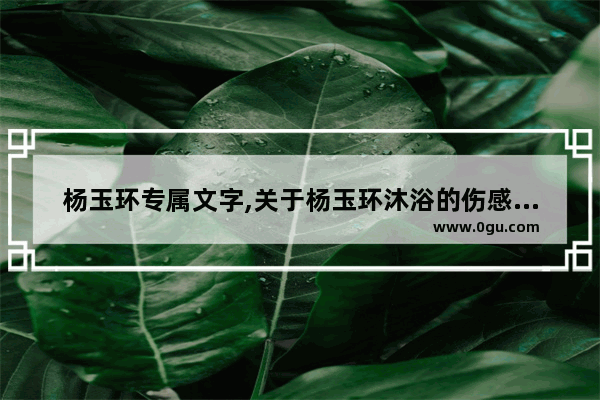 杨玉环专属文字,关于杨玉环沐浴的伤感句子