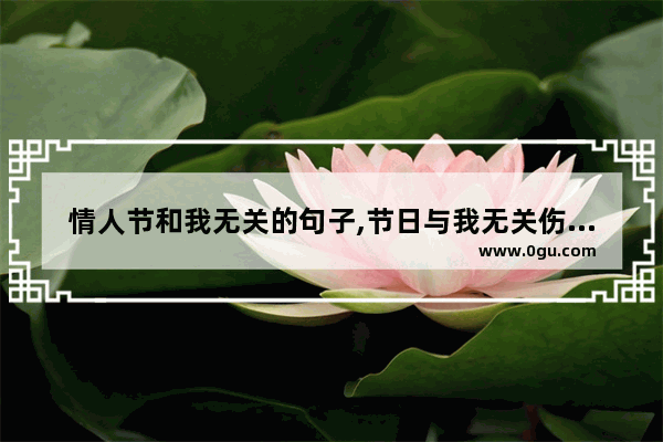 情人节和我无关的句子,节日与我无关伤感的句子