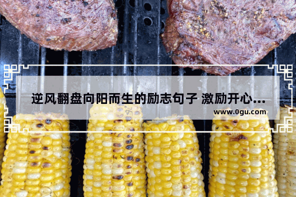 逆风翻盘向阳而生的励志句子 激励开心生活的句子