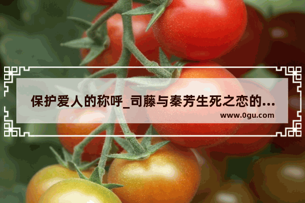 保护爱人的称呼_司藤与秦芳生死之恋的句子
