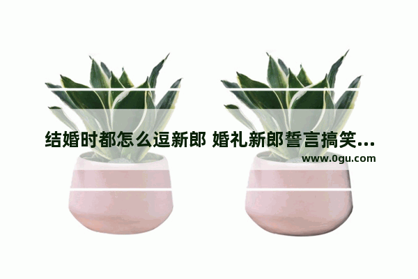 结婚时都怎么逗新郎 婚礼新郎誓言搞笑幽默句子