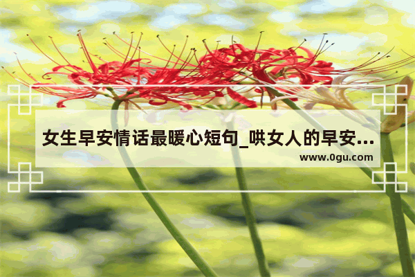 女生早安情话最暖心短句_哄女人的早安暖心句子