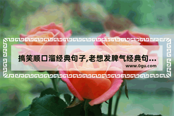 搞笑顺口溜经典句子,老想发脾气经典句子搞笑