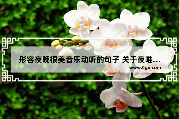 形容夜晚很美音乐动听的句子 关于夜唯美句子