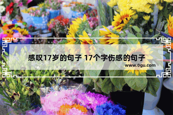 感叹17岁的句子 17个字伤感的句子