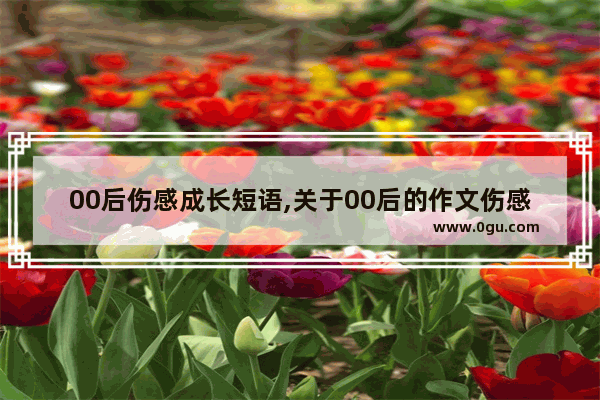 00后伤感成长短语,关于00后的作文伤感句子