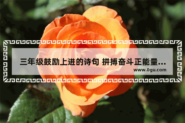 三年级鼓励上进的诗句 拼搏奋斗正能量的句子励志