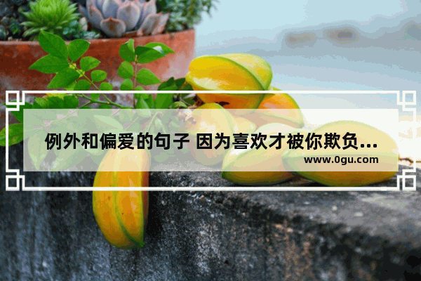 例外和偏爱的句子 因为喜欢才被你欺负的句子