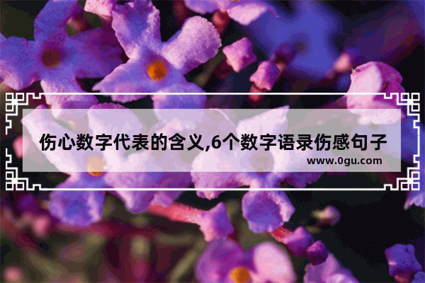伤心数字代表的含义,6个数字语录伤感句子