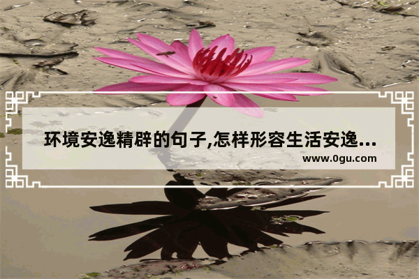 环境安逸精辟的句子,怎样形容生活安逸的句子