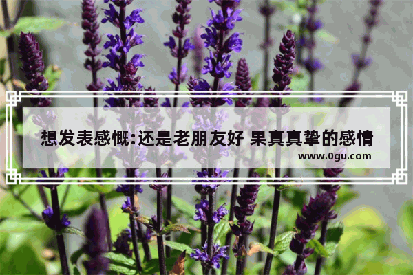 想发表感慨:还是老朋友好 果真真挚的感情都需要时间的沉淀。怎么用诗句表达 或者文艺含蓄的句子 时间沉淀的感情好不好句子