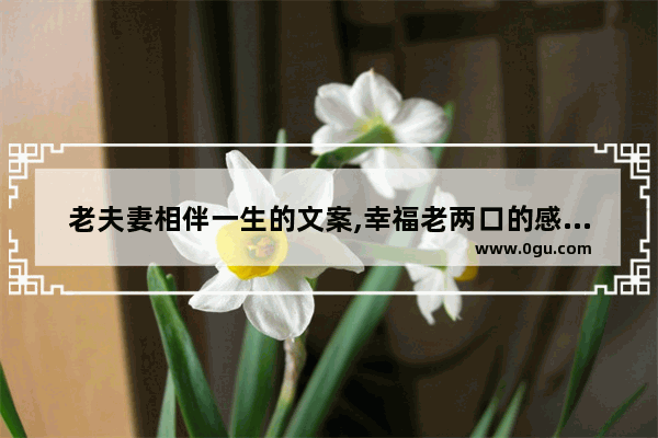 老夫妻相伴一生的文案,幸福老两口的感情句子