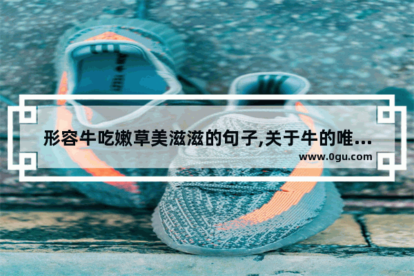 形容牛吃嫩草美滋滋的句子,关于牛的唯美句子