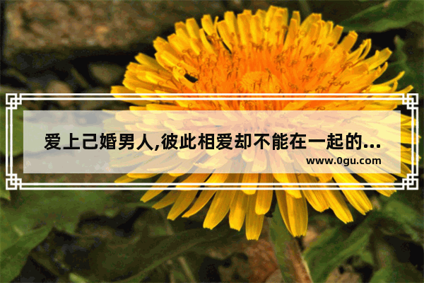 爱上己婚男人,彼此相爱却不能在一起的伤痛短句说说,一段不如意感情的句子