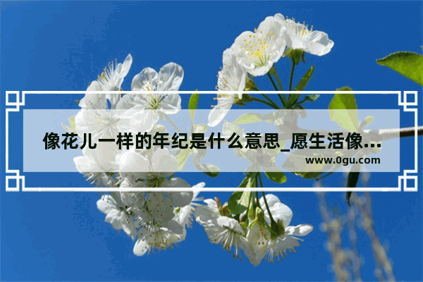 像花儿一样的年纪是什么意思_愿生活像花样的句子