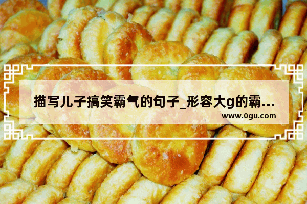 描写儿子搞笑霸气的句子_形容大g的霸气搞笑句子