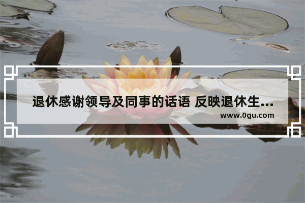 退休感谢领导及同事的话语 反映退休生活的句子简短