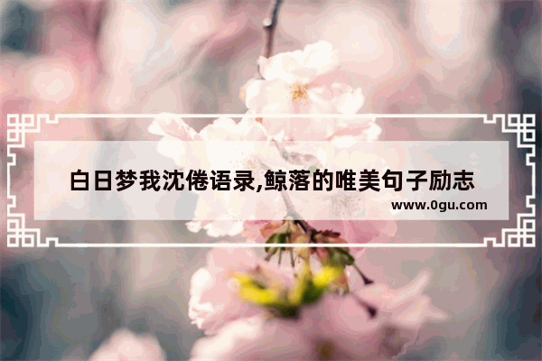 白日梦我沈倦语录,鲸落的唯美句子励志