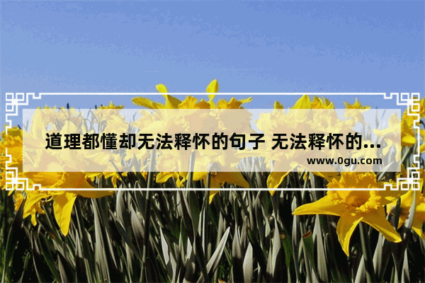 道理都懂却无法释怀的句子 无法释怀的心情的句子