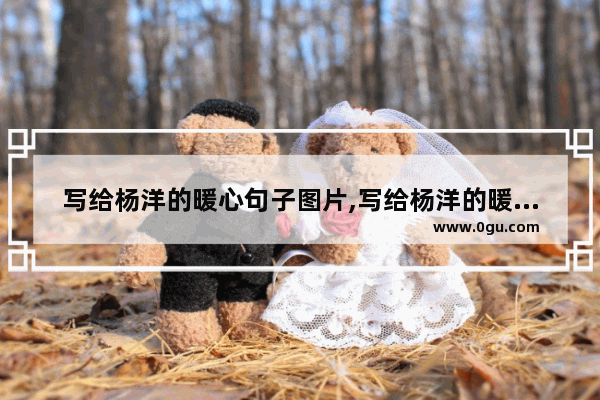 写给杨洋的暖心句子图片,写给杨洋的暖心句子图片
