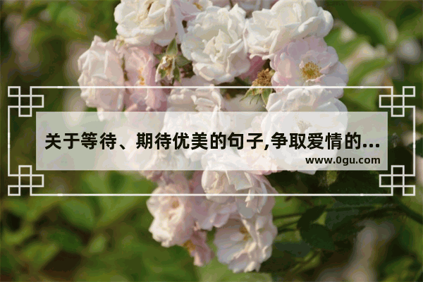 关于等待、期待优美的句子,争取爱情的唯美句子简短