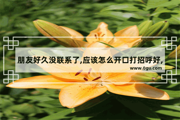 朋友好久没联系了,应该怎么开口打招呼好,友情远了的句子说说心情