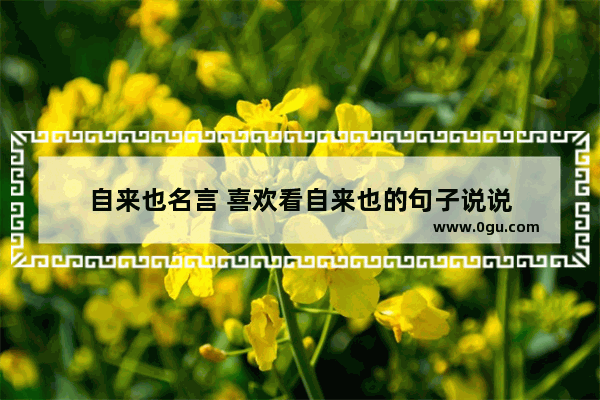自来也名言 喜欢看自来也的句子说说