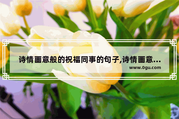 诗情画意般的祝福同事的句子,诗情画意的祝福句子唯美