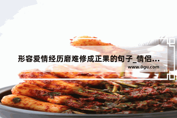 形容爱情经历磨难修成正果的句子_情侣共患难的句子