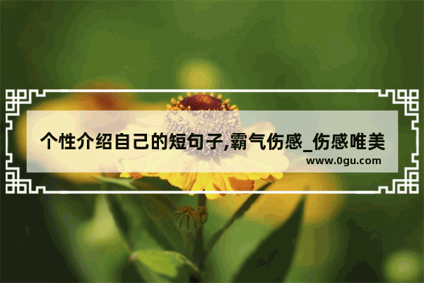 个性介绍自己的短句子,霸气伤感_伤感唯美的古文10字左右短句