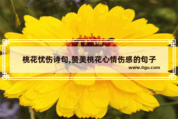 桃花忧伤诗句,赞美桃花心情伤感的句子