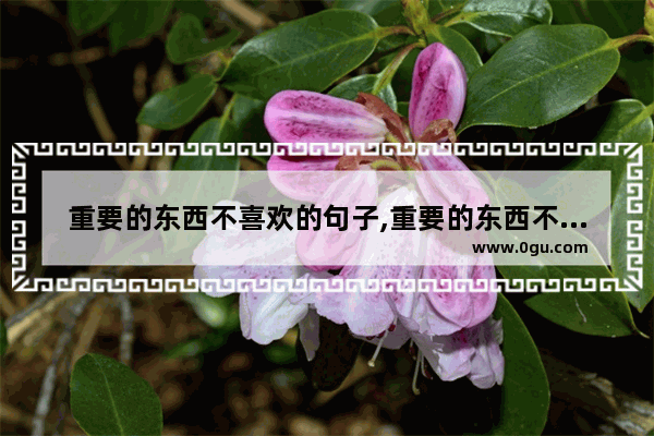 重要的东西不喜欢的句子,重要的东西不喜欢的句子