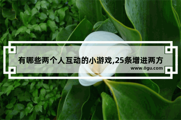 有哪些两个人互动的小游戏,25条增进两方感情的句子