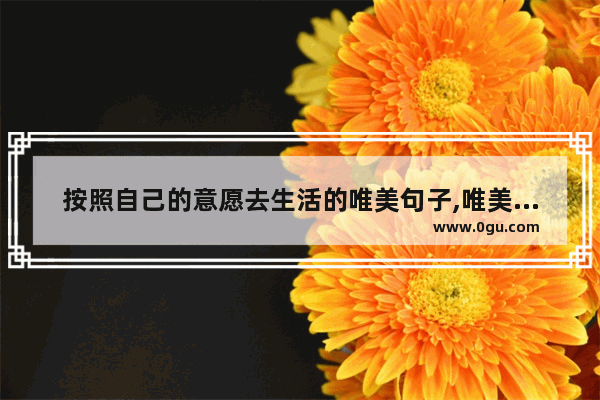 按照自己的意愿去生活的唯美句子,唯美现实的句子