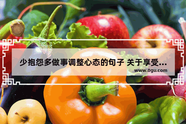 少抱怨多做事调整心态的句子 关于享受生活旅游的句子