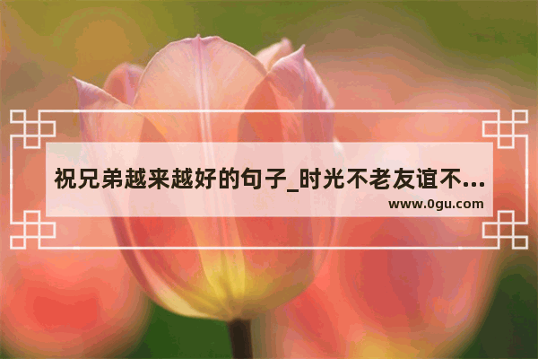 祝兄弟越来越好的句子_时光不老友谊不散的句子